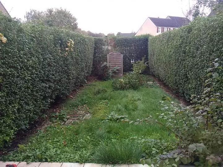 Aménagement paysager Près de Lille